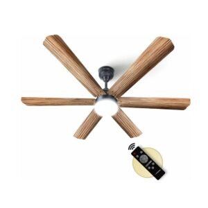 Decorative Fans